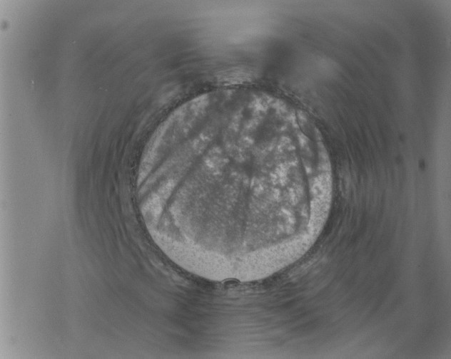 X0000073891393200609082111