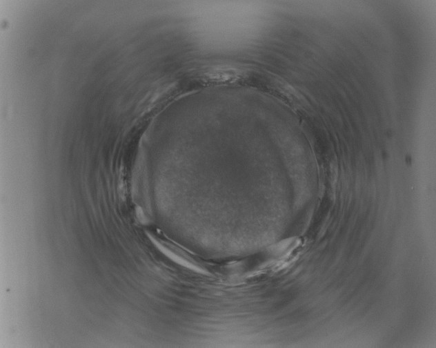 X0000073891394200609082111