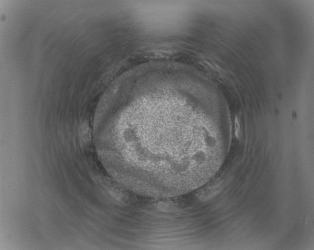 X0000073891395200609082111