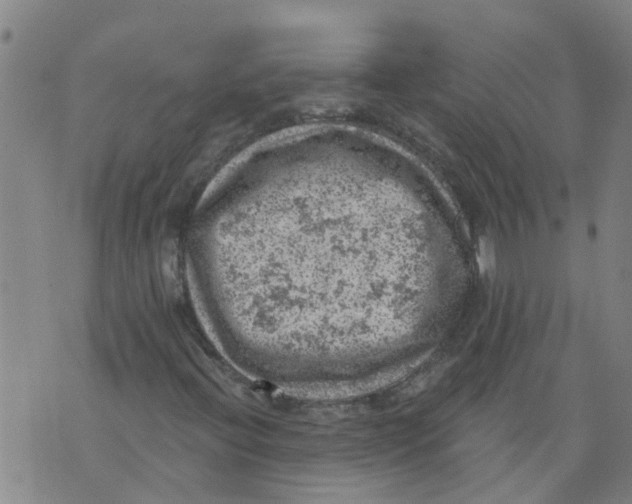 X0000073891396200609082111