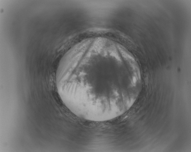 X0000073891397200609082111