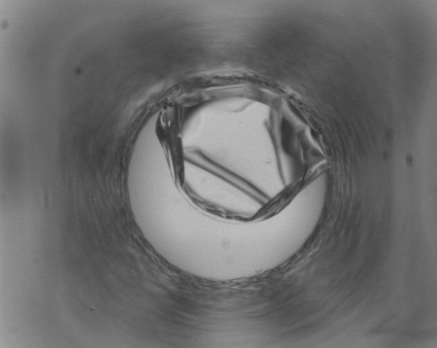 X0000073891398200609082111