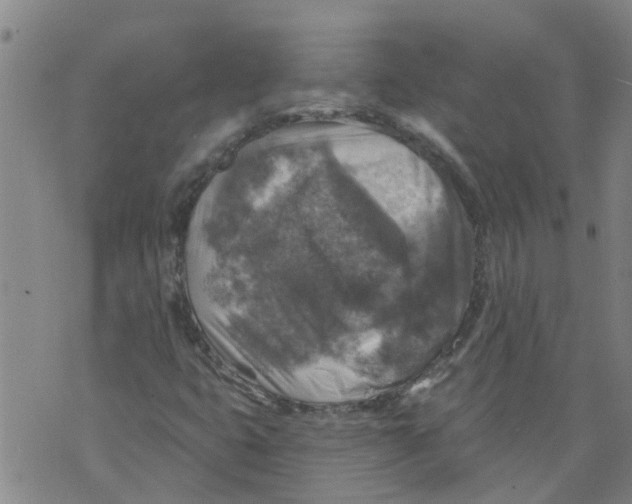 X0000073891399200609082111