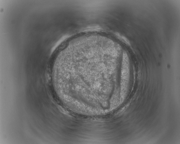 X0000073891400200609082111