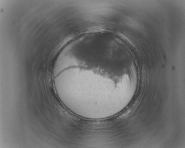 X0000073891401200609082111