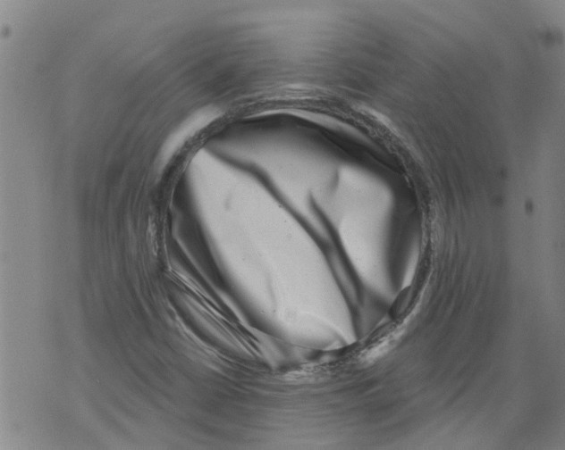 X0000073891402200609082111