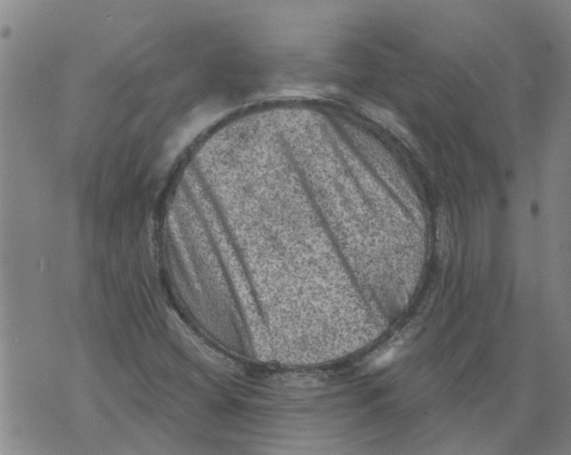 X0000073891404200609082111