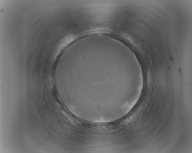 X0000073891405200609082111