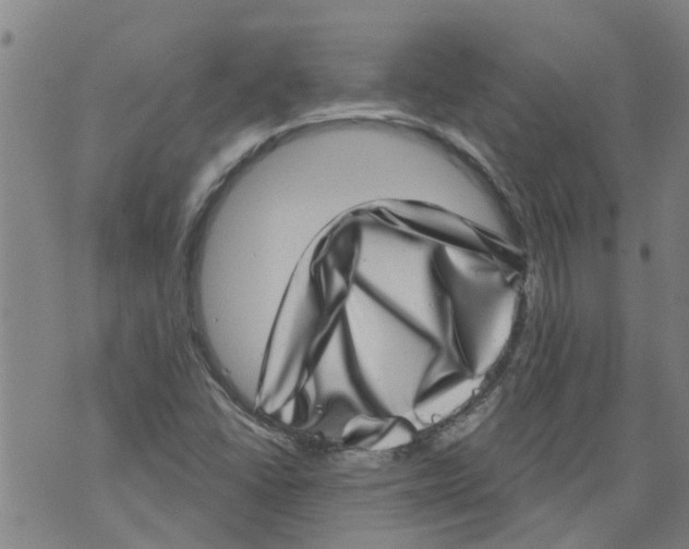 X0000073891406200609082111