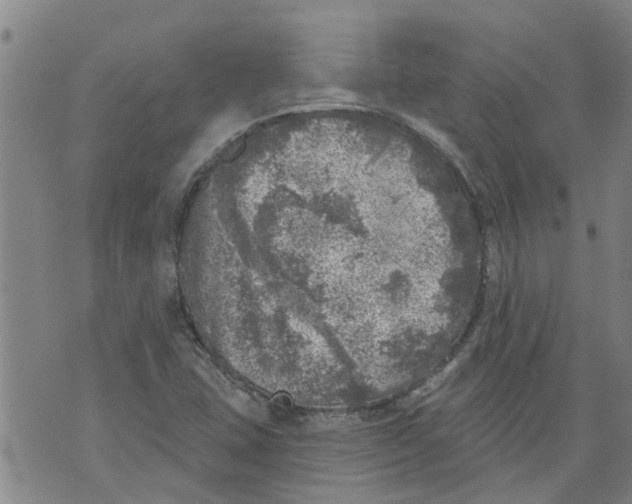 X0000073891407200609082111