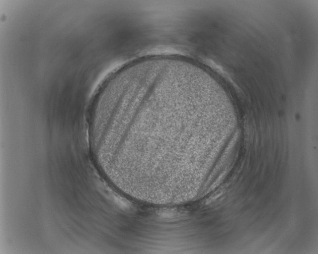 X0000073891408200609082111