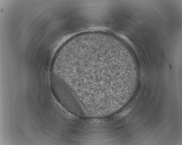 X0000073891412200609082111