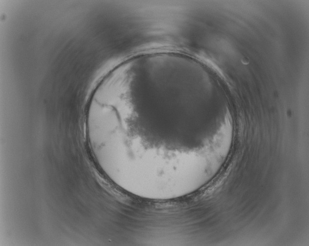 X0000073891413200609082111