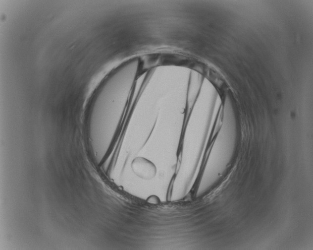 X0000073891414200609082111