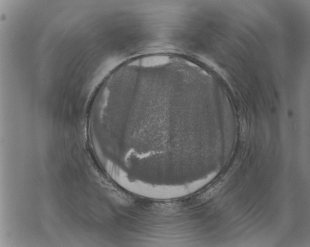 X0000073891415200609082111