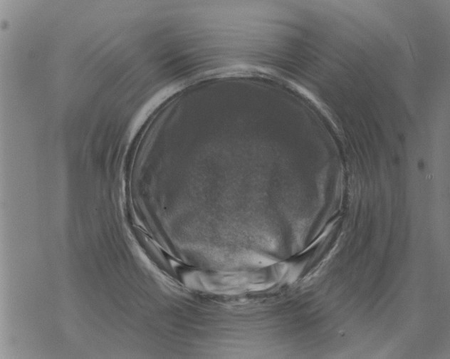 X0000073891418200609082111