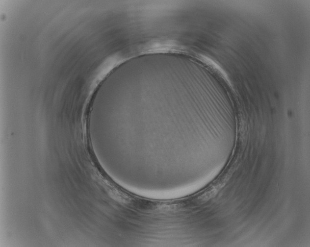 X0000073891419200609082111