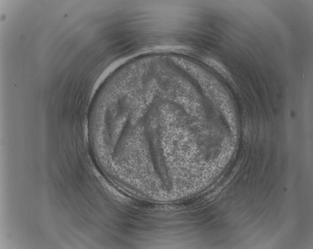 X0000073891420200609082111