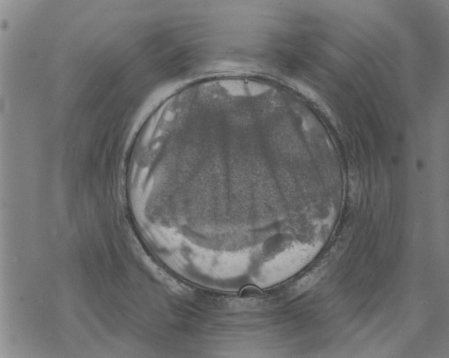 X0000073891421200609082111