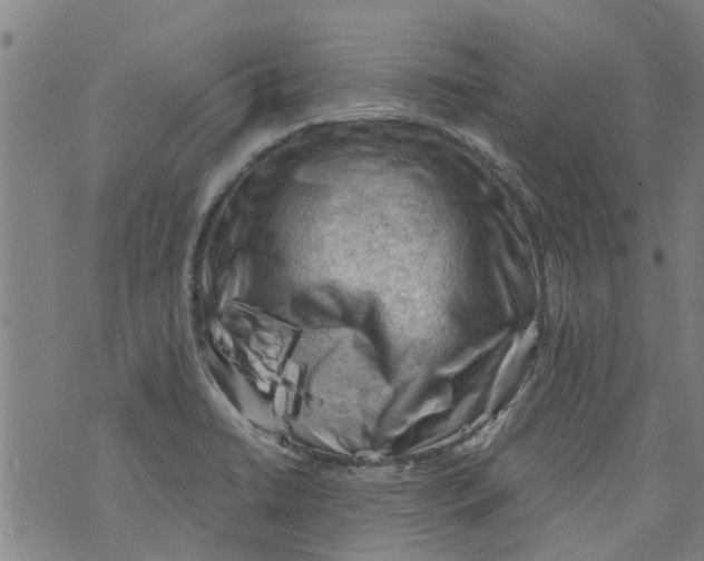 X0000073891422200609082111