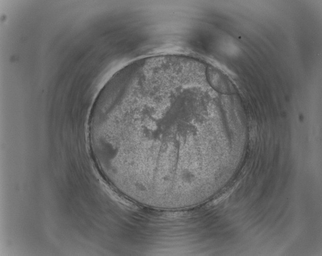 X0000073891423200609082111