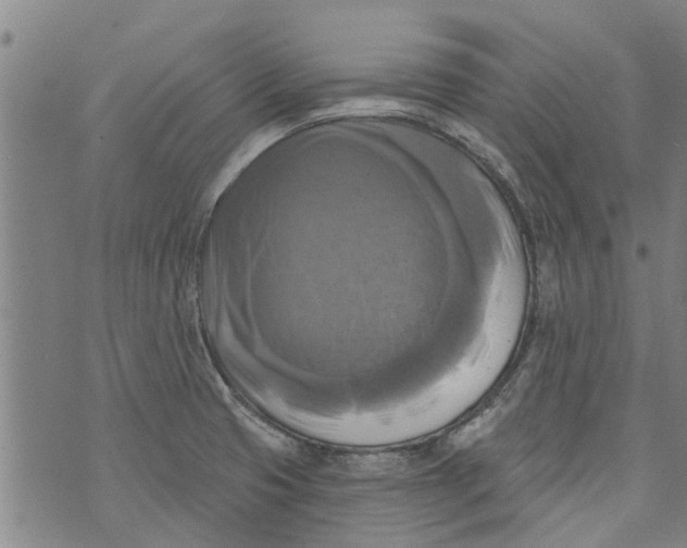 X0000073891425200609082111