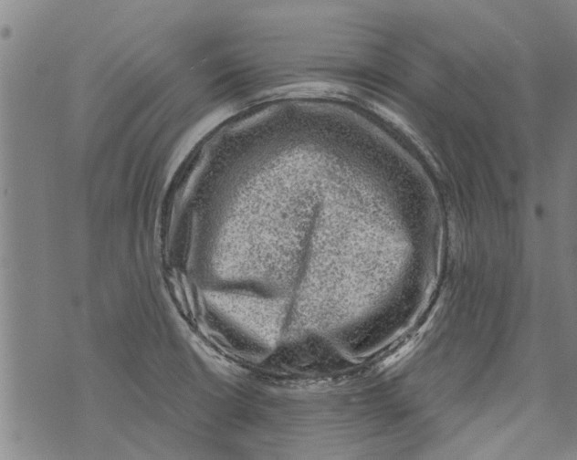 X0000073891426200609082111