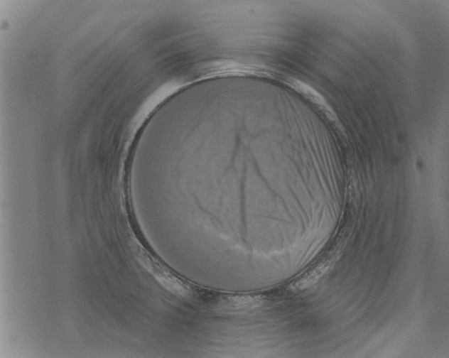 X0000073891427200609082111