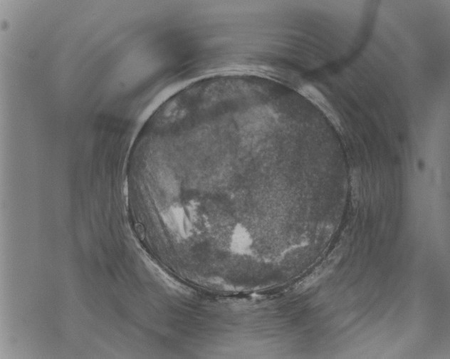 X0000073891428200609082111