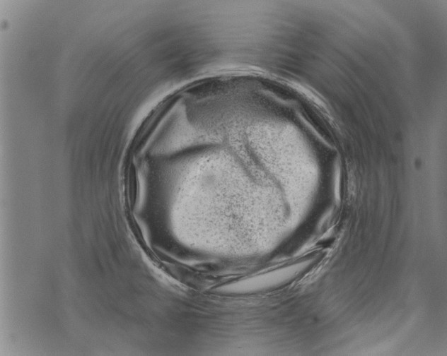 X0000073891430200609082111