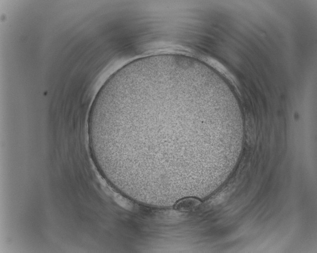 X0000073891431200609082112