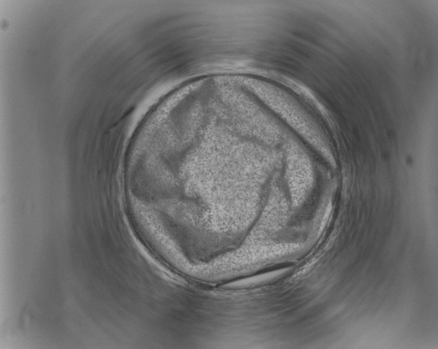 X0000073891432200609082112