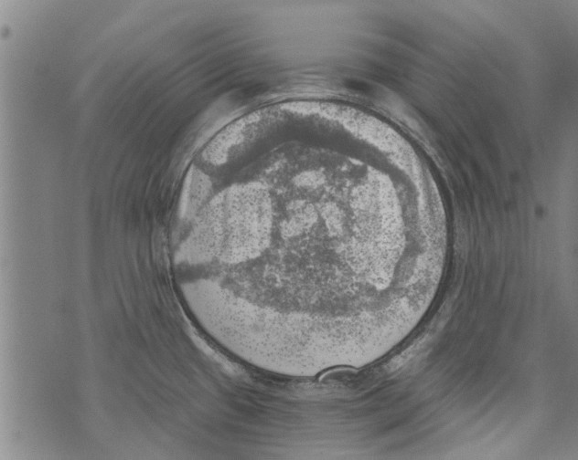 X0000073891433200609082112