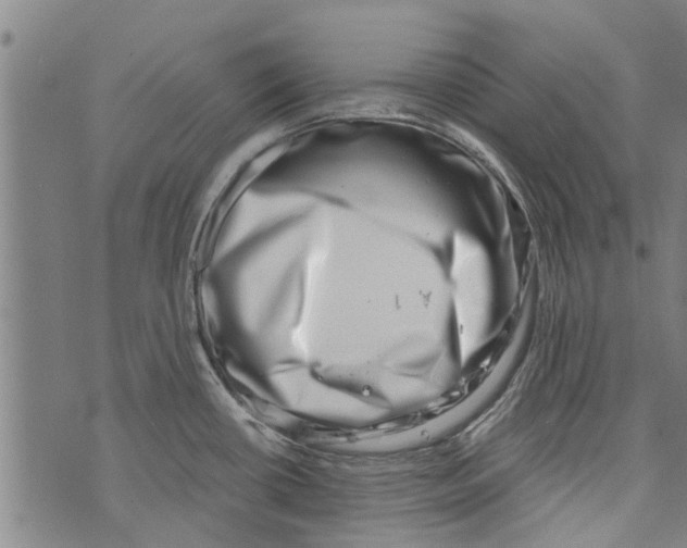 X0000073891434200609082112