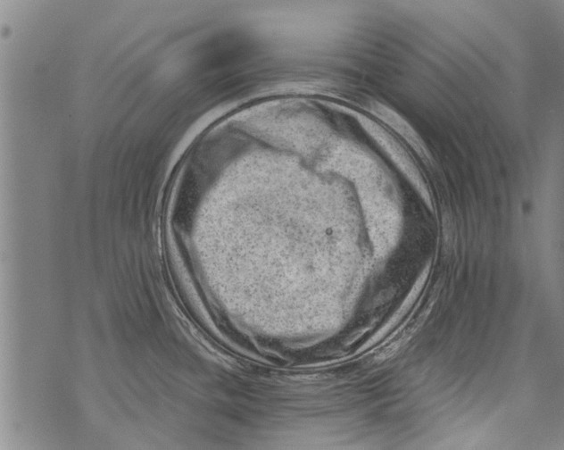 X0000073891436200609082112