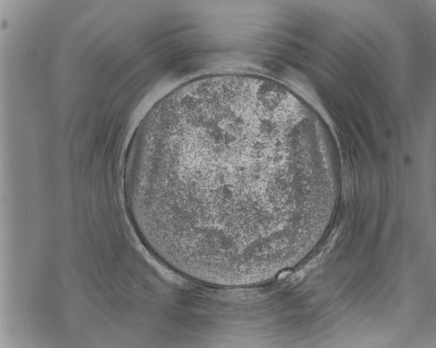 X0000073891437200609082112