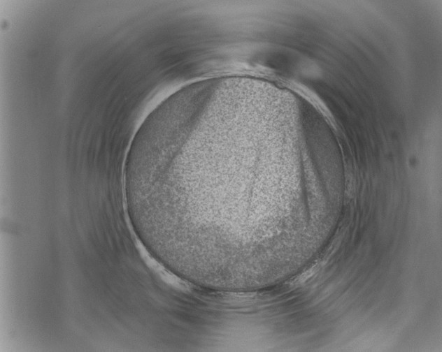 X0000073891439200609082112