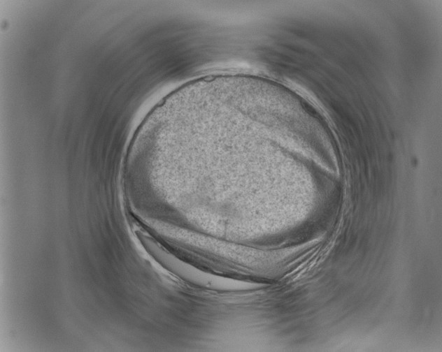 X0000073891440200609082112