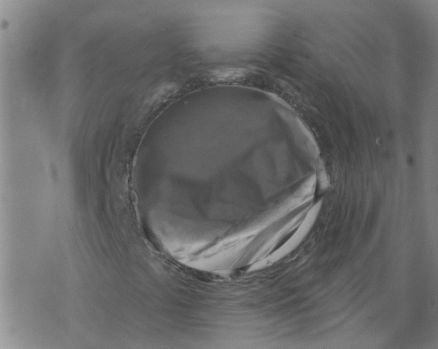 X0000073891441200609082111