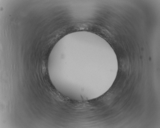 X0000073891442200609082111