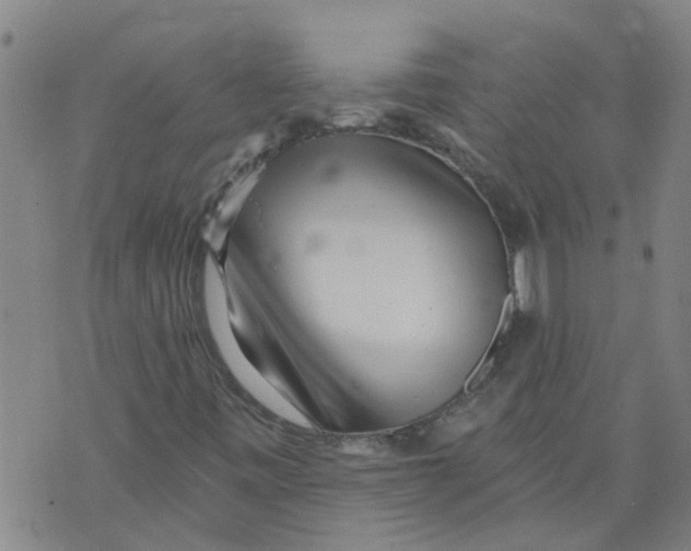 X0000073891443200609082111