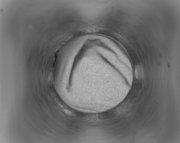 X0000073891444200609082111