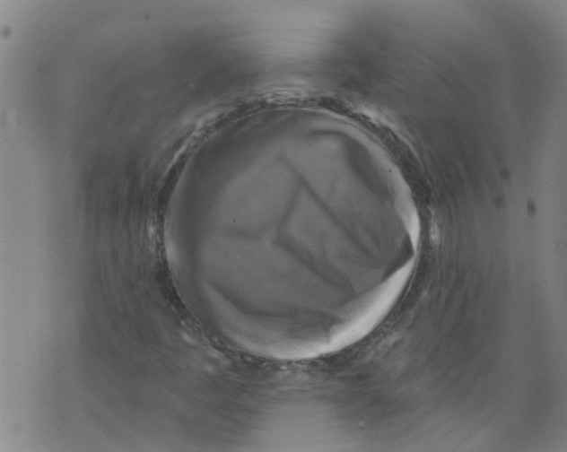 X0000073891445200609082111