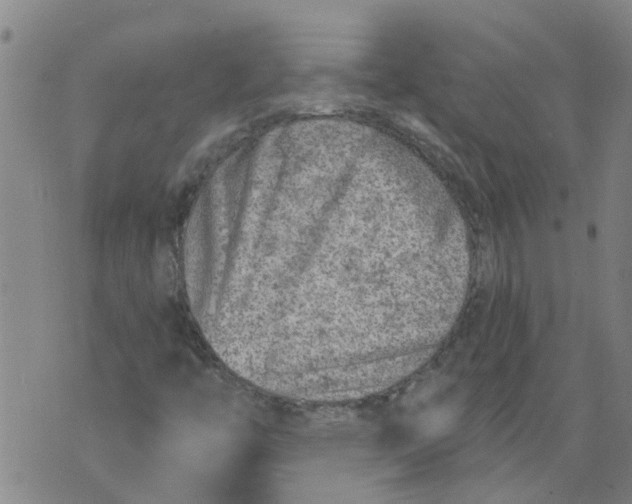 X0000073891446200609082111