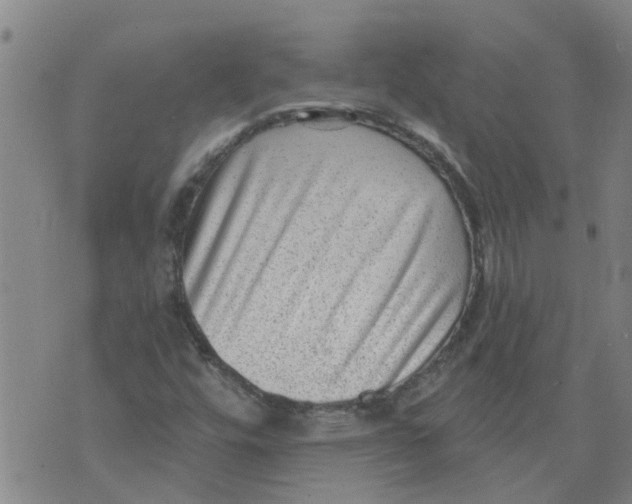 X0000073891448200609082111