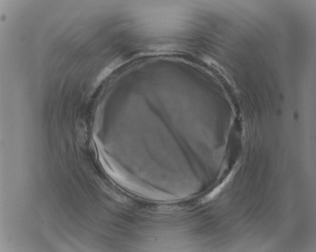 X0000073891449200609082111