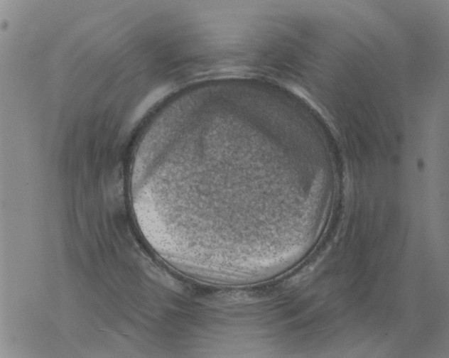 X0000073891450200609082111