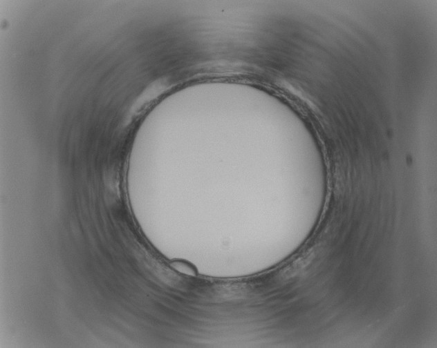 X0000073891451200609082111