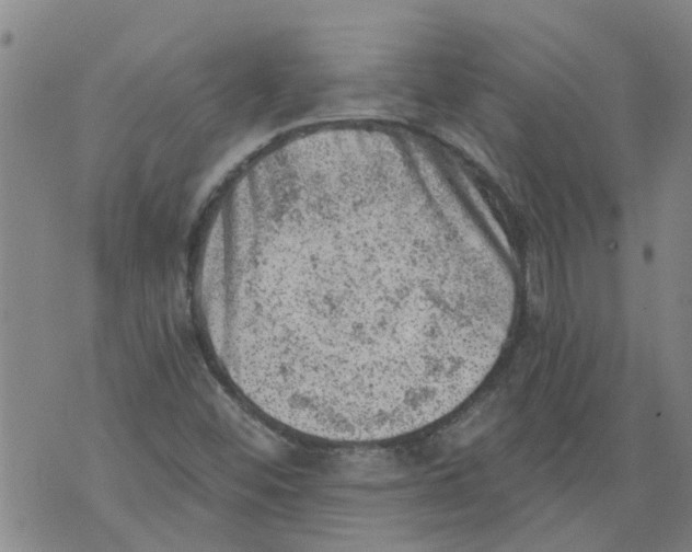 X0000073891452200609082111