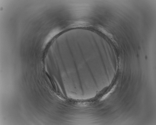 X0000073891453200609082111